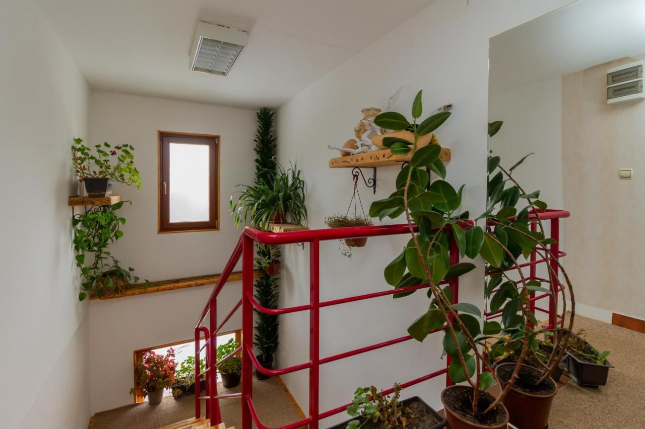 Apartmani Nika Zlatibor Exterior foto