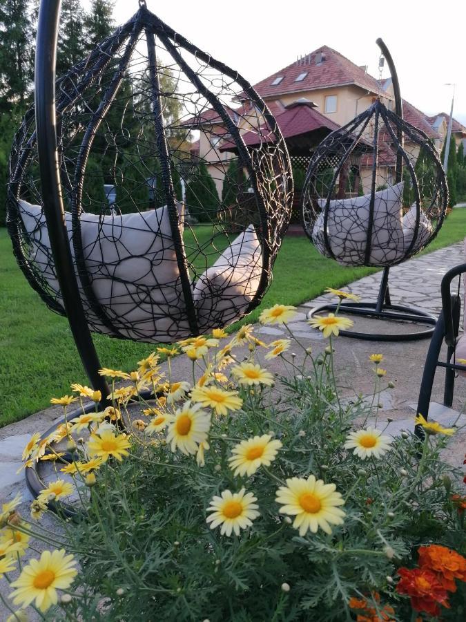 Apartmani Nika Zlatibor Exterior foto