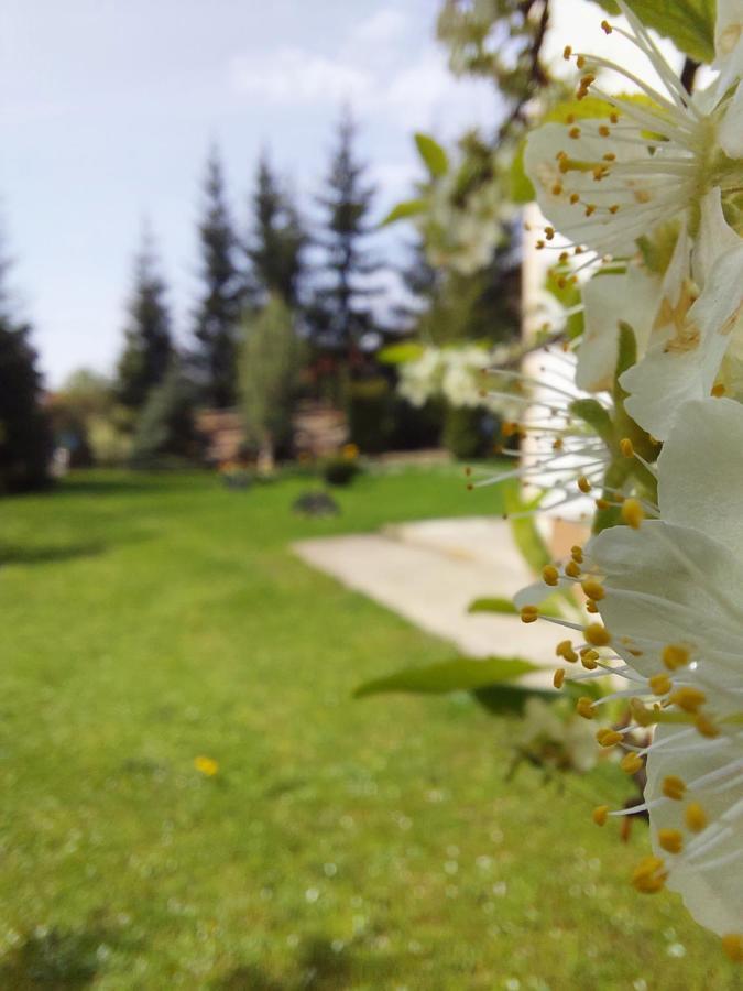Apartmani Nika Zlatibor Exterior foto