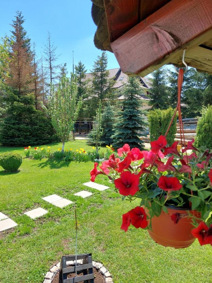 Apartmani Nika Zlatibor Exterior foto