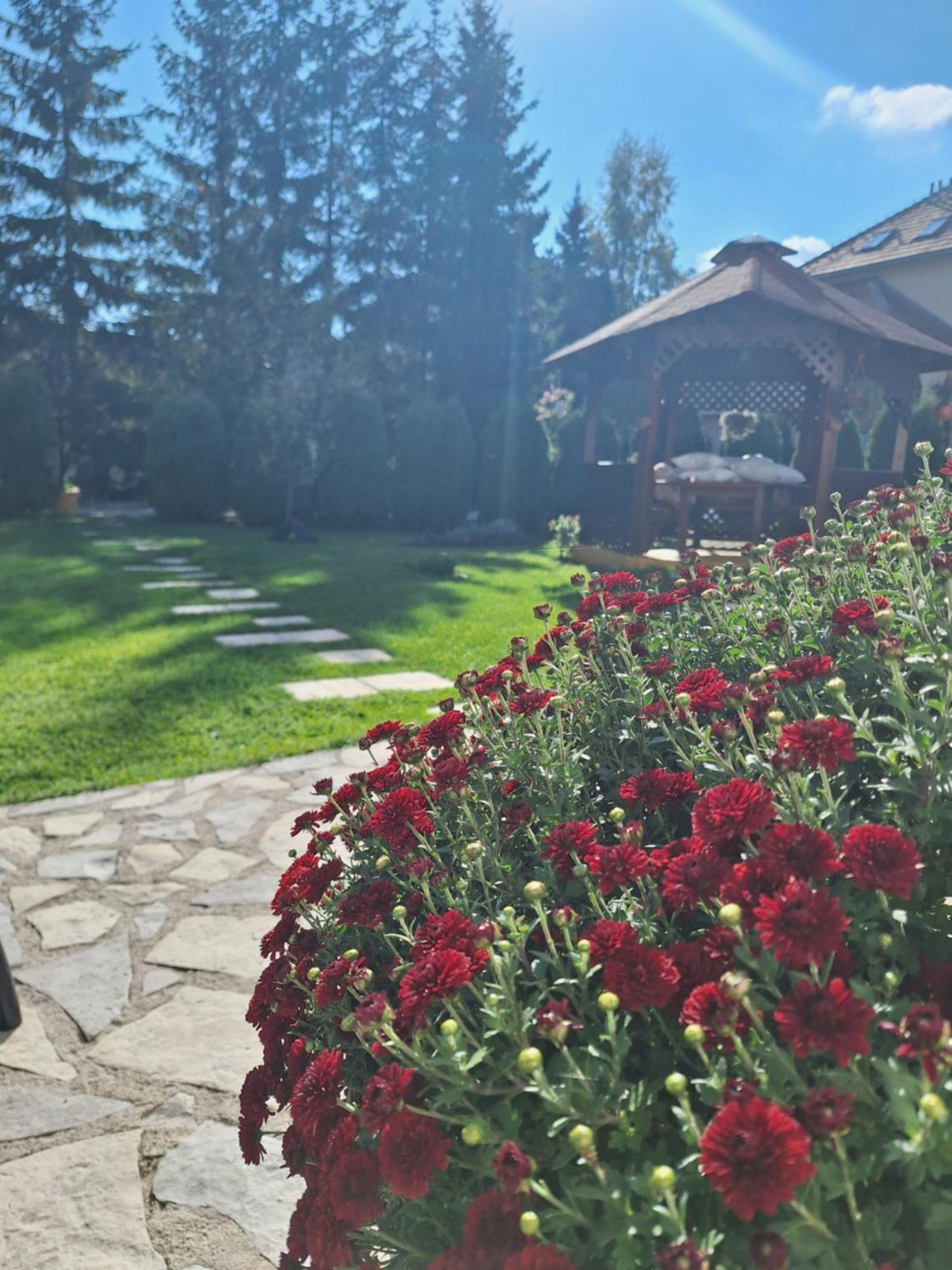 Apartmani Nika Zlatibor Exterior foto