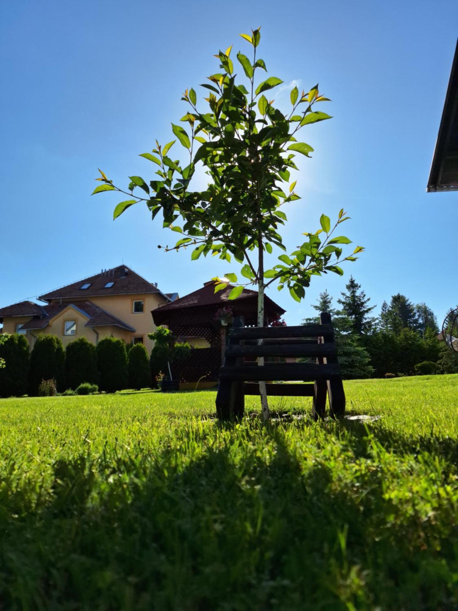 Apartmani Nika Zlatibor Exterior foto