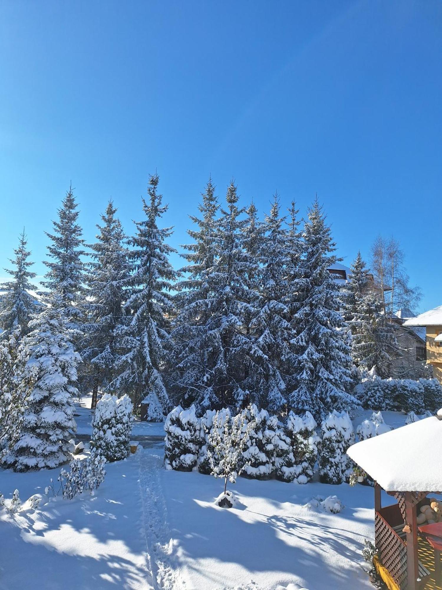Apartmani Nika Zlatibor Exterior foto