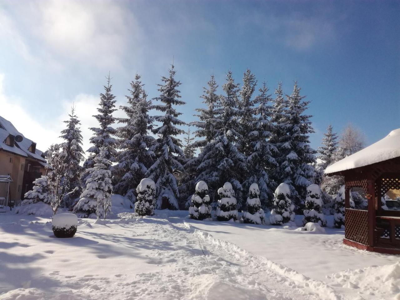 Apartmani Nika Zlatibor Exterior foto